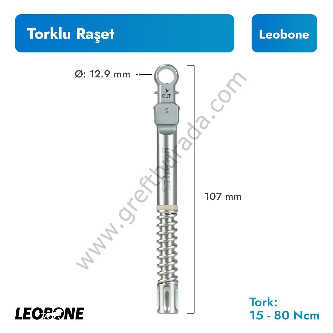 Torklu Raşet 15-80 Ncm