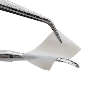 Dental Membranlar