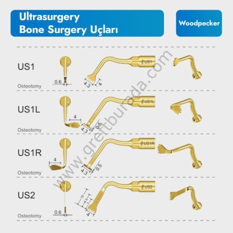 Ultrasurgery Piezo Uçları