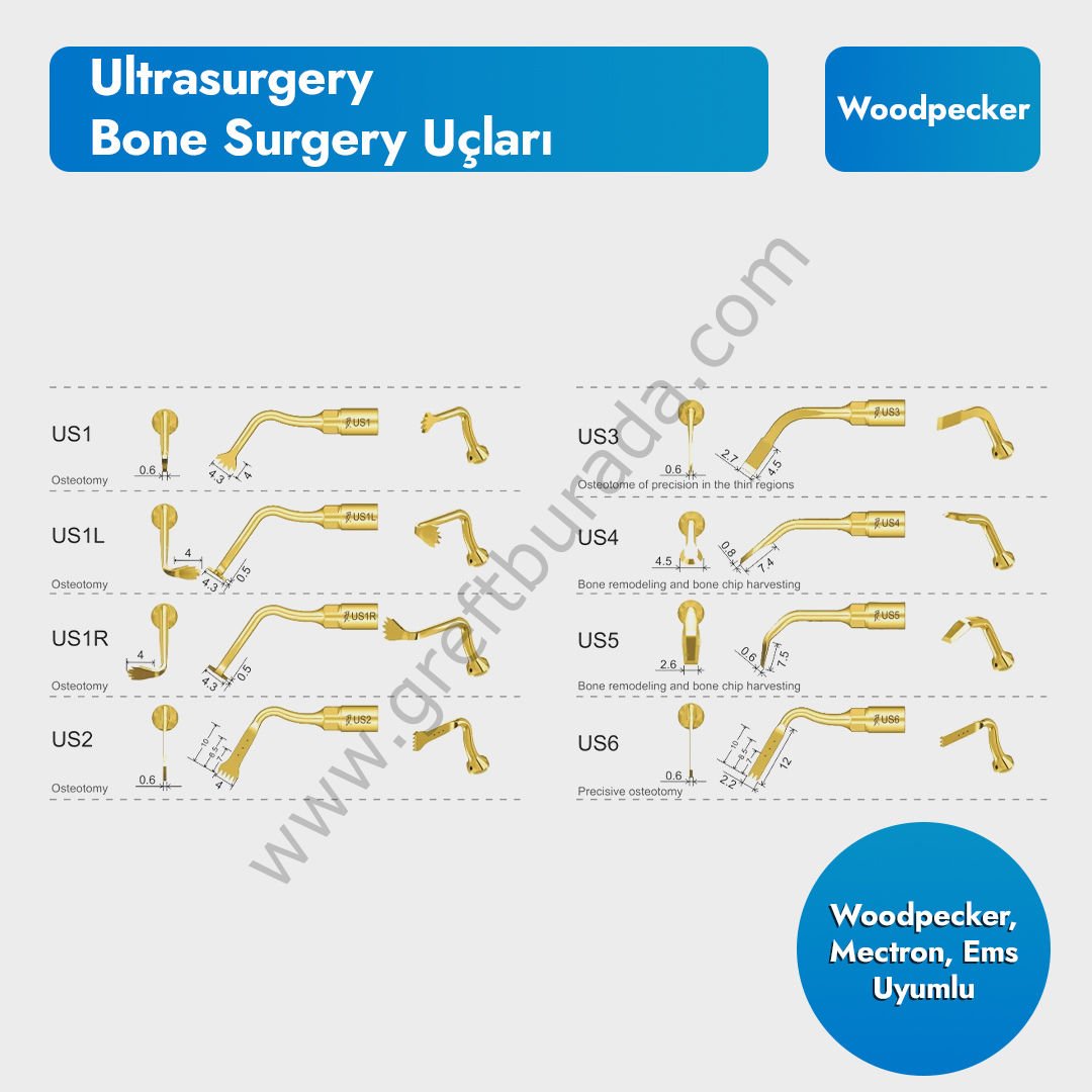 Ultrasurgery Piezo Uçları
