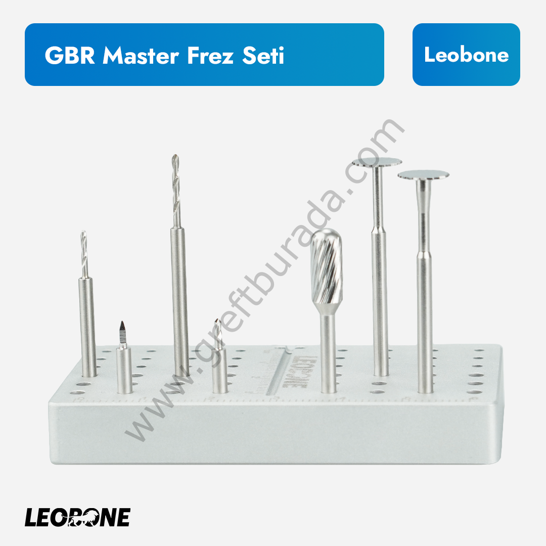 Leobone GBR Master Frez Seti