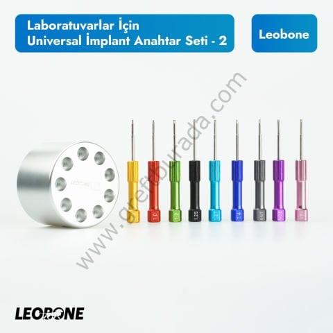 Universal Implant Anahtar Seti 2 | Laboratuvarlar İçin