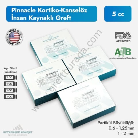 Pinnacle Kortiko Kanselöz Allogreft 5cc