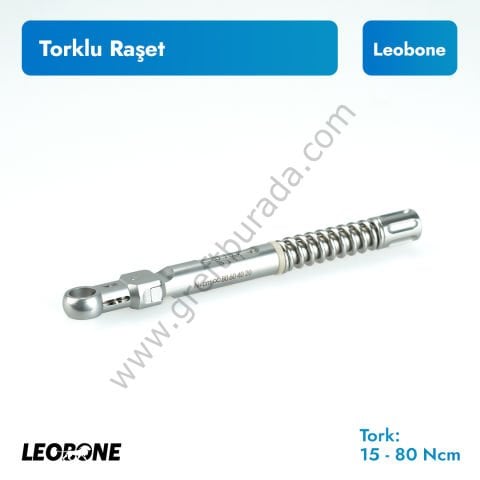Torklu Raşet 15-80 Ncm