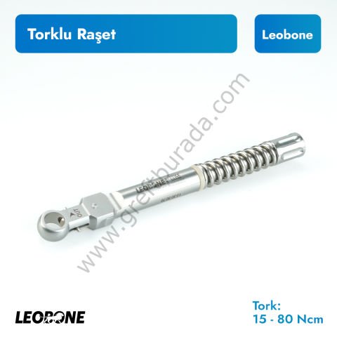 Torklu Raşet 15-80 Ncm
