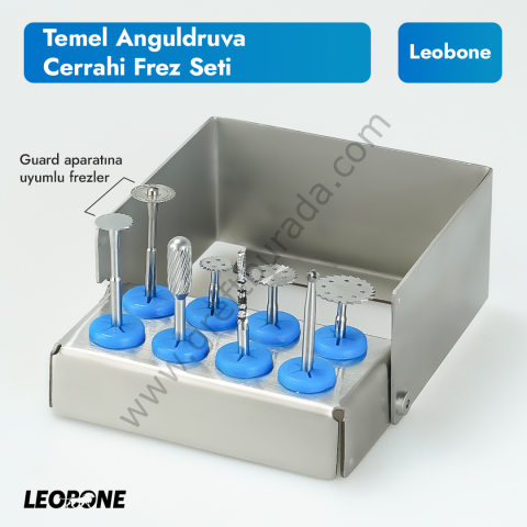 Leobone Temel Anguldruva Cerrahi Frez Seti