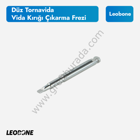 Düz Tornavida Vida Kırığı Çıkarma Frezi