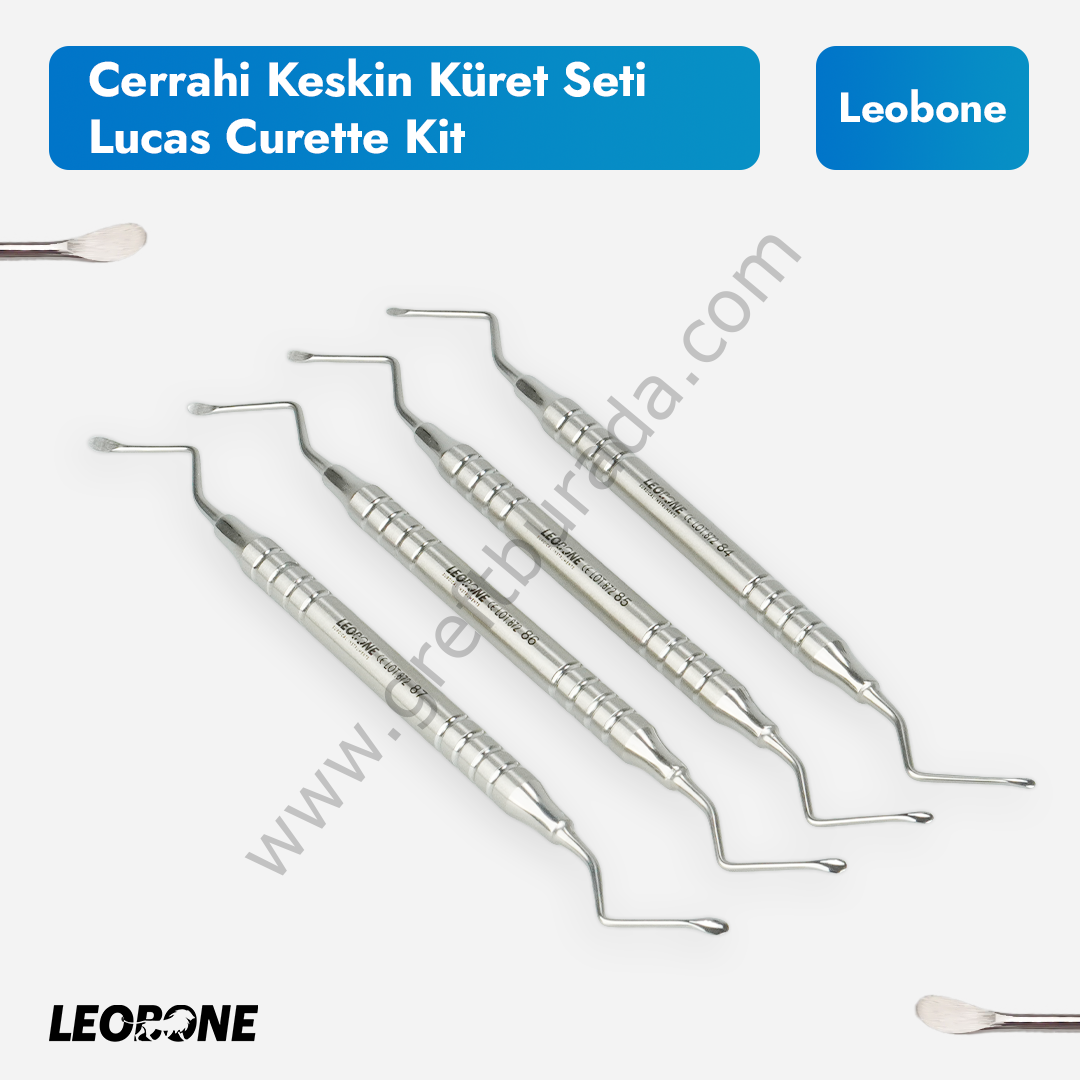 Cerrahi Keskin Küret Seti/Lucas Curette Kit