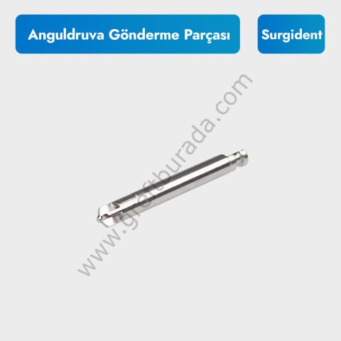 Surgident Membran Sabitleme Vidaları Anguldruva Gönderme Parçası