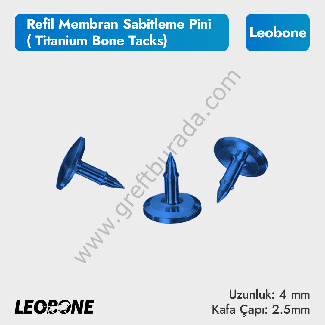 Refil Membran Sabitleme Pini ( Titanium Bone Tacks)