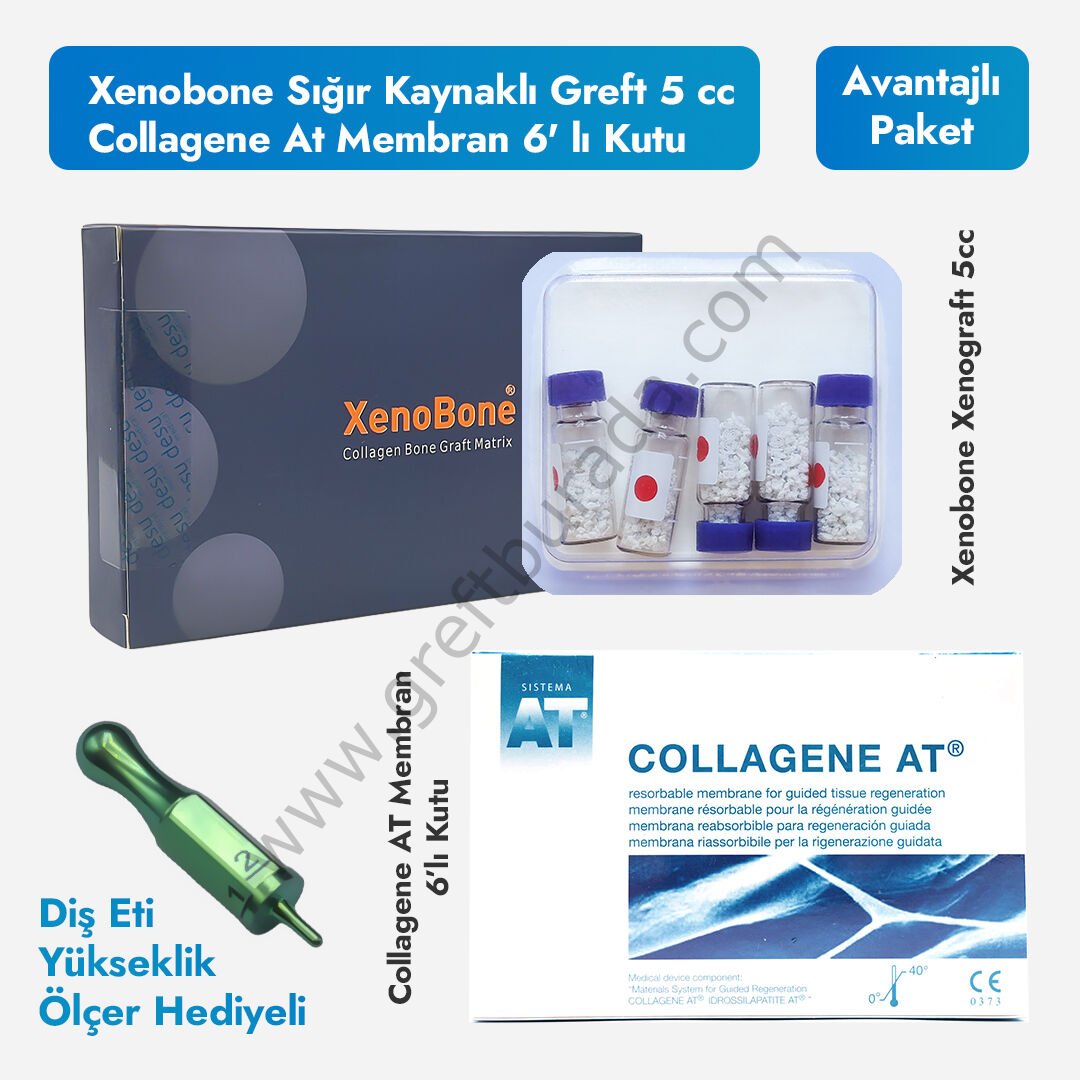 Xenobone Sığır Kaynaklı Greft 5 cc (0.7-1.5mm Partikül)+ Collagene At Membran 6' lı Kutu