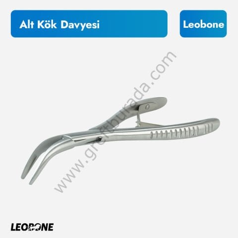 Leobone Alt Kök Davyesi