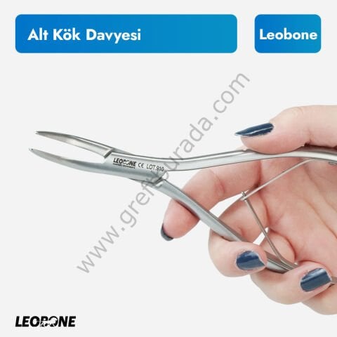 Leobone Alt Kök Davyesi