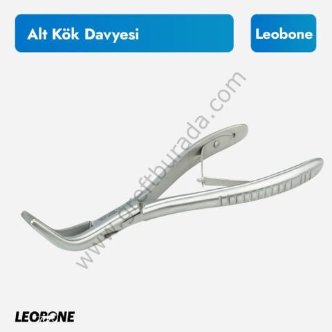 Leobone Alt Kök Davyesi