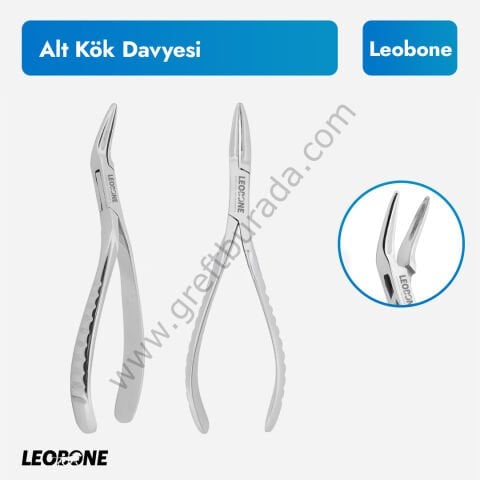 Leobone Alt Kök Davyesi