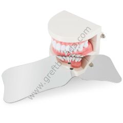 Dental Fotoğrafçılık Aynası