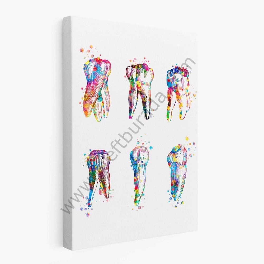 Dental -Tablo Köklü Dişler Kanvas Tablo