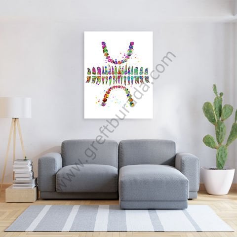 Dental -Tablo Teethset Kanvas Tablo