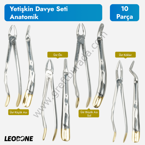 Leobone Yetişkin Davye Seti (Anatomik) | 10 Parça