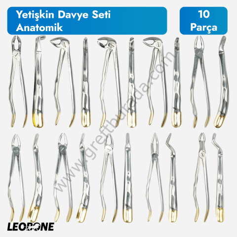 Leobone Yetişkin Davye Seti (Anatomik) | 10 Parça