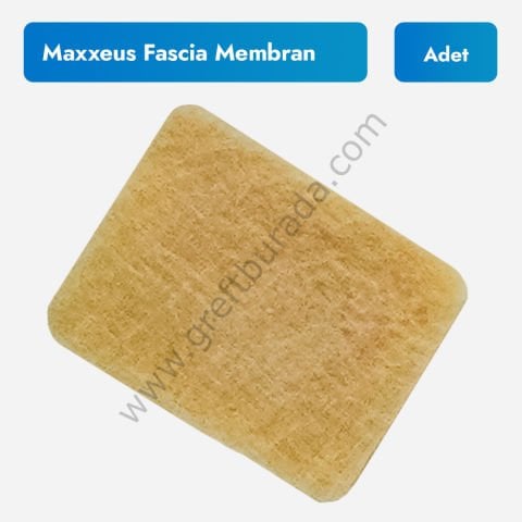 Maxxeus Fascia Membran - İnsan Kaynaklı Allogreft Membran