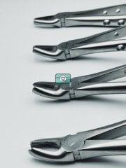 Yetişkin Davye Seti