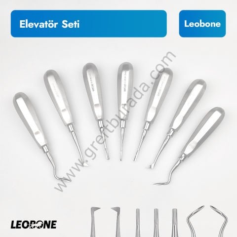Leobone Elevatör Seti 7 Parça (Bein, Açılı, Sivri Uçlu)