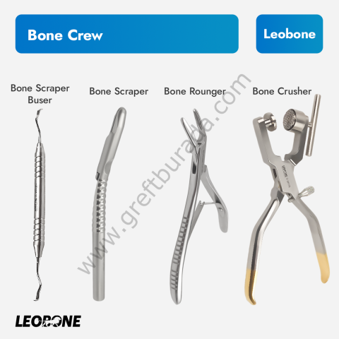 Leobone Bone Crew Kemik Kazıma ve Greft Hazırlama Seti (4'lü)
