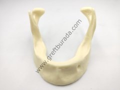 Alt Çene Mandibular İmplant Eğitim Modeli