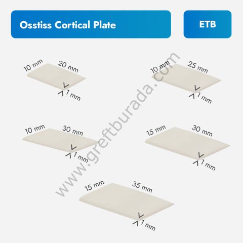 ETB Ostiss Kortikal Plaka - İnsan Kaynaklı