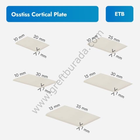 ETB Ostiss Kortikal Plaka - İnsan Kaynaklı