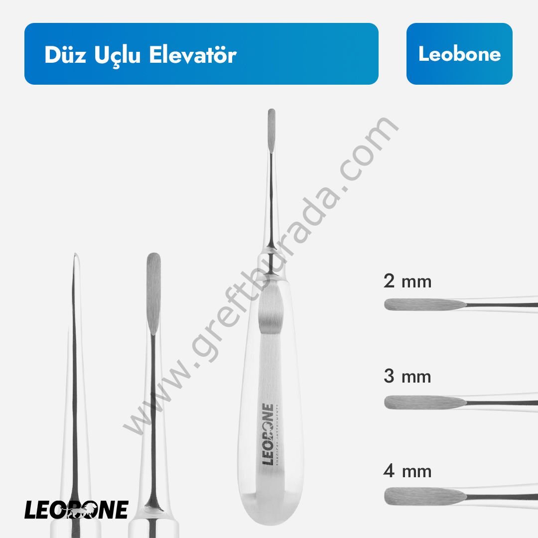 Leobone Düz Uçlu Elevatör