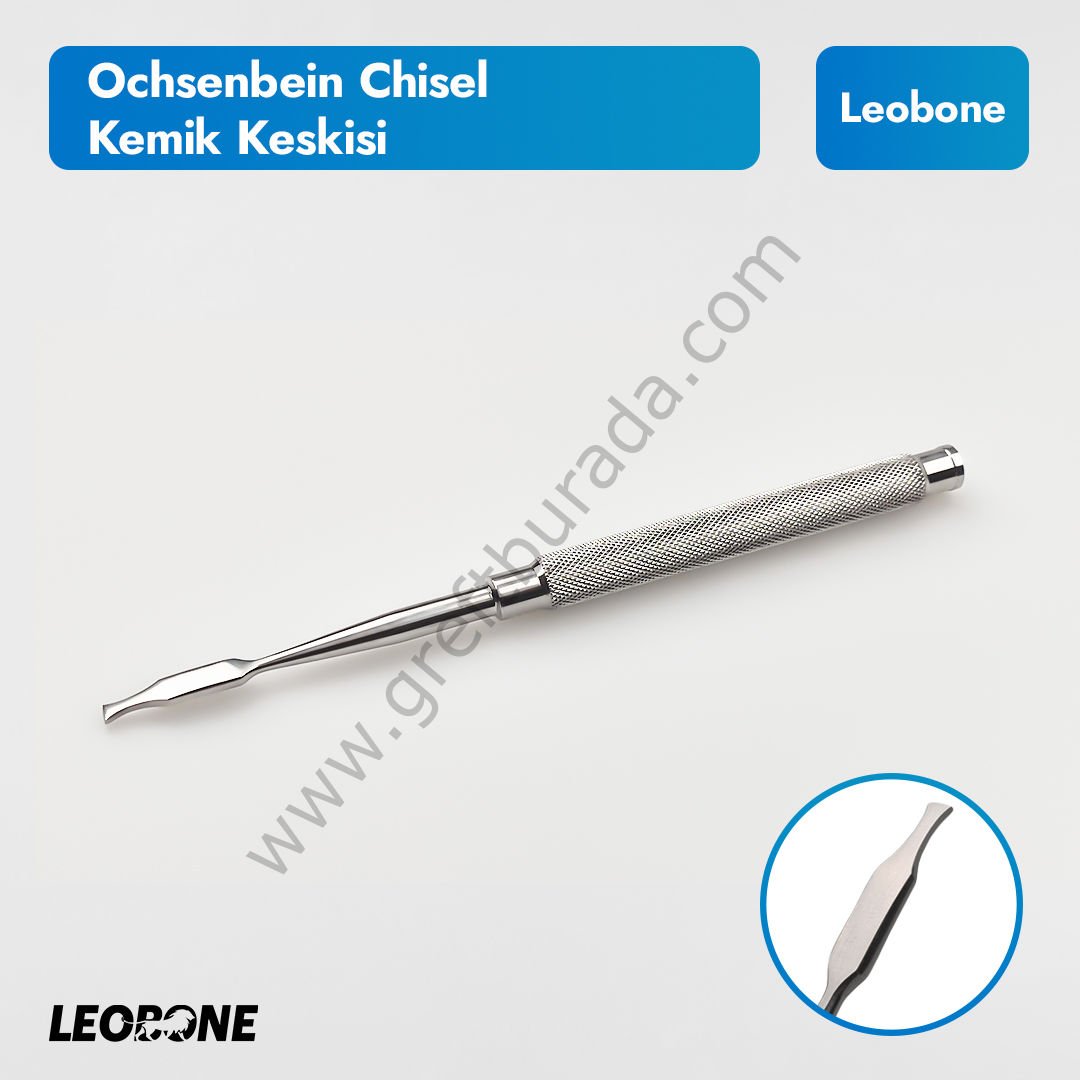 Leobone Ochsenbein Chisel/Kemik Keskisi