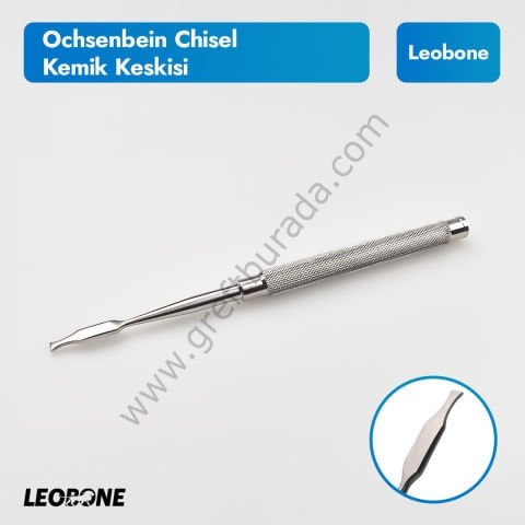 Leobone Ochsenbein Chisel/Kemik Keskisi