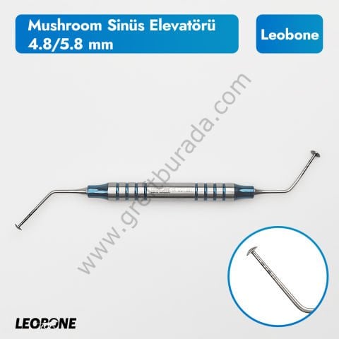 ETB Ostiss Allogreft 5cc - Sinus Mushroom Hediyeli