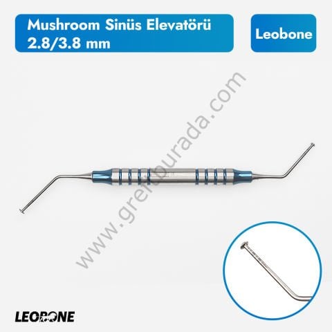 ETB Ostiss Allogreft 5cc - Sinus Mushroom Hediyeli