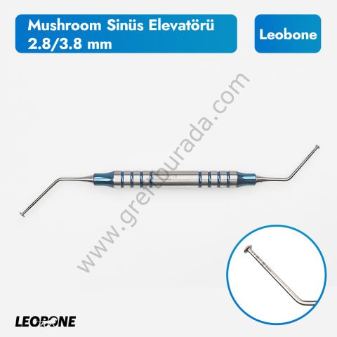 ETB Ostiss Allogreft 5cc - Sinus Mushroom Hediyeli