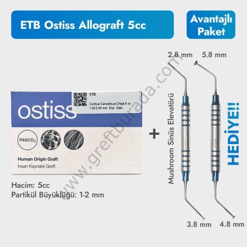 ETB Ostiss Allogreft 5cc - Sinus Mushroom Hediyeli