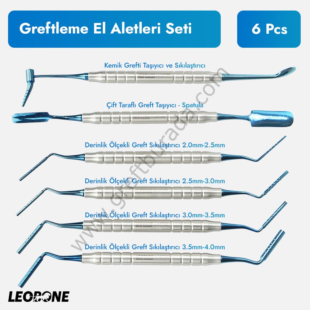 Kemik Greftleme El Aletleri Seti-6 Parça