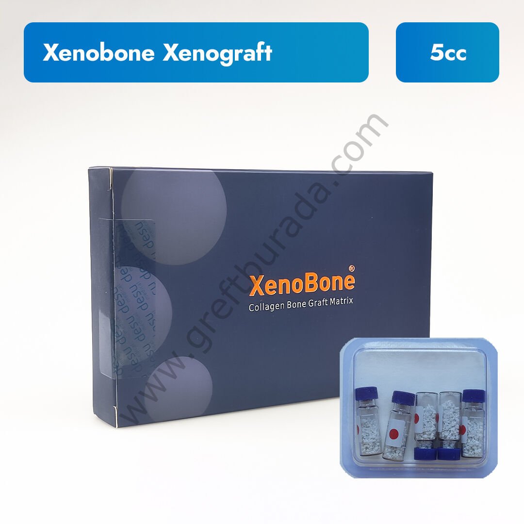 Xenobone Sığır Kaynaklı Greft 5 cc | 0.7-1.5mm Partikül