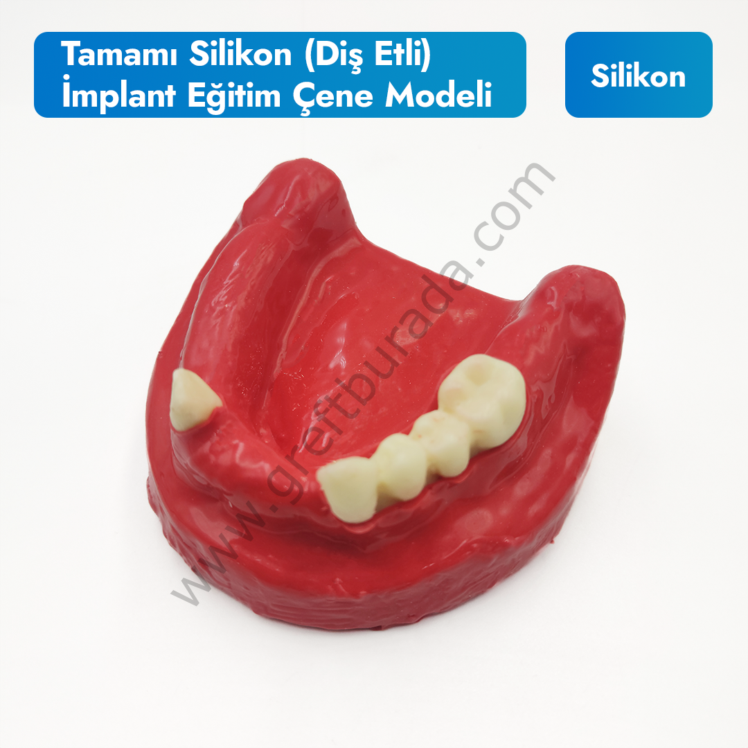 Tamamı Silikon (diş etli) İmplant Eğitim Çene Modeli