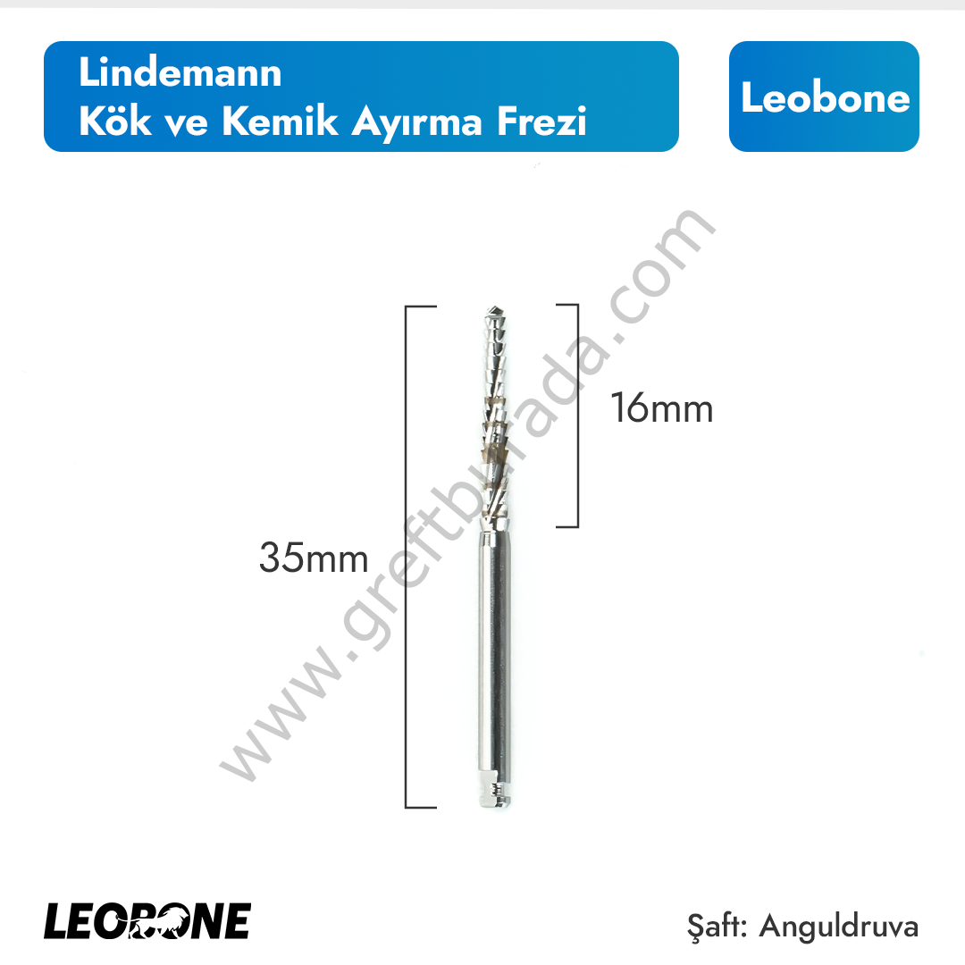 Leobone Lindemann Kök ve Kemik Ayırma Frezi