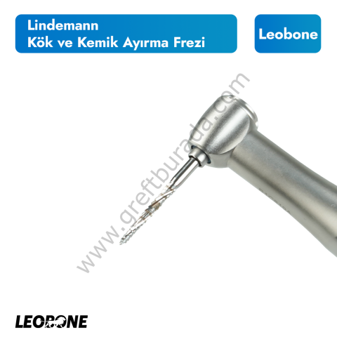 Leobone Lindemann Kök ve Kemik Ayırma Frezi