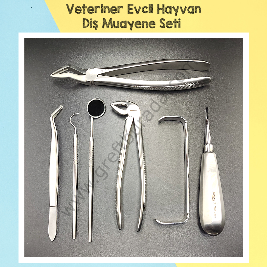 Evcil Hayvan Diş Muayene/Tedavi Seti